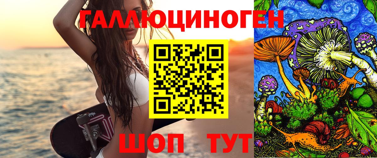 Псилоцибиновые грибы MAGIC MUSHROOMS  Вход с VPN  Заречный  Галлюциногенные грибы ЛСД 
