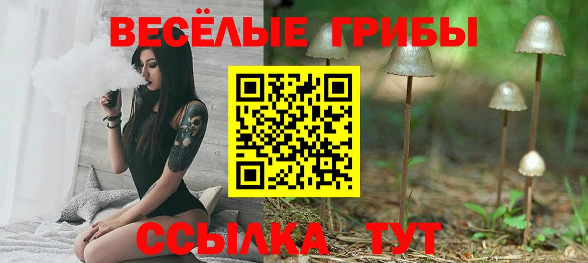 Галлюциногенные грибы Psilocybe Заречный