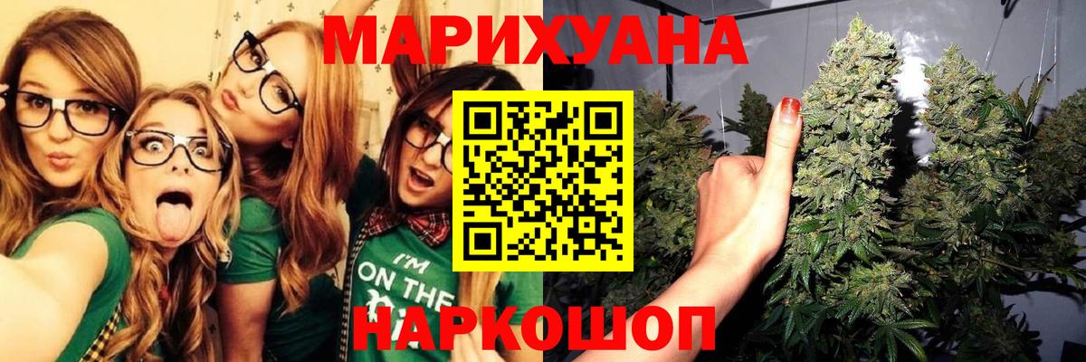 Каннабис планчик Заречный
